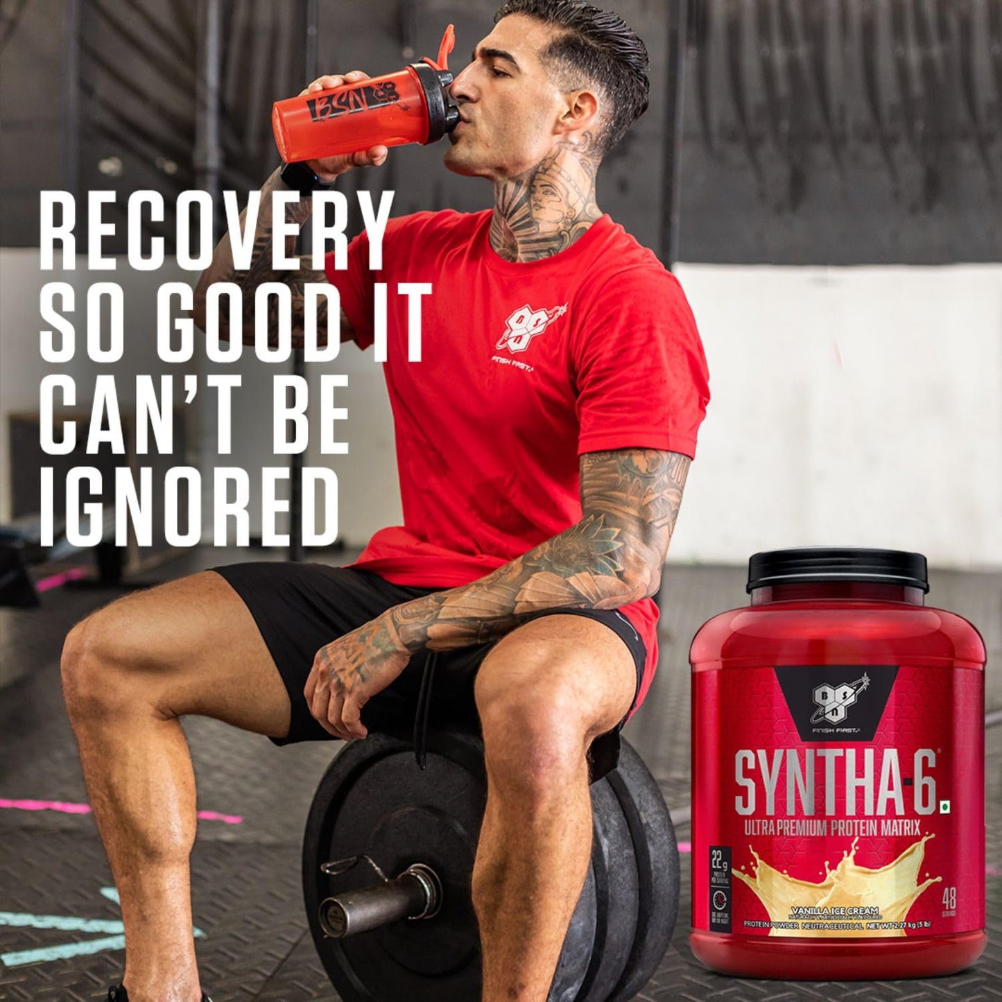 BSN Syntha-6 Protein Powder 5 Lbs (Imported)