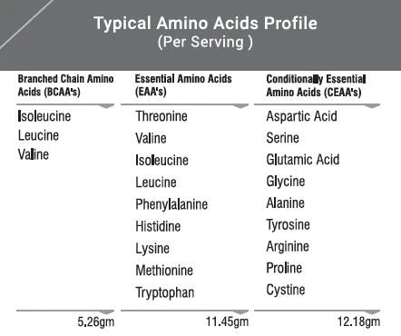 Best Nutrition Advanced Whey Protein 2 Lbs