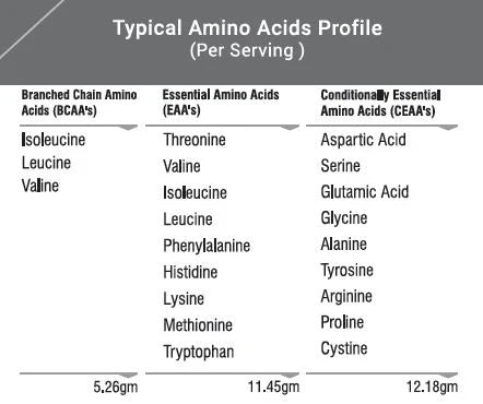 Best Nutrition Advanced Whey Protein 2 Lbs